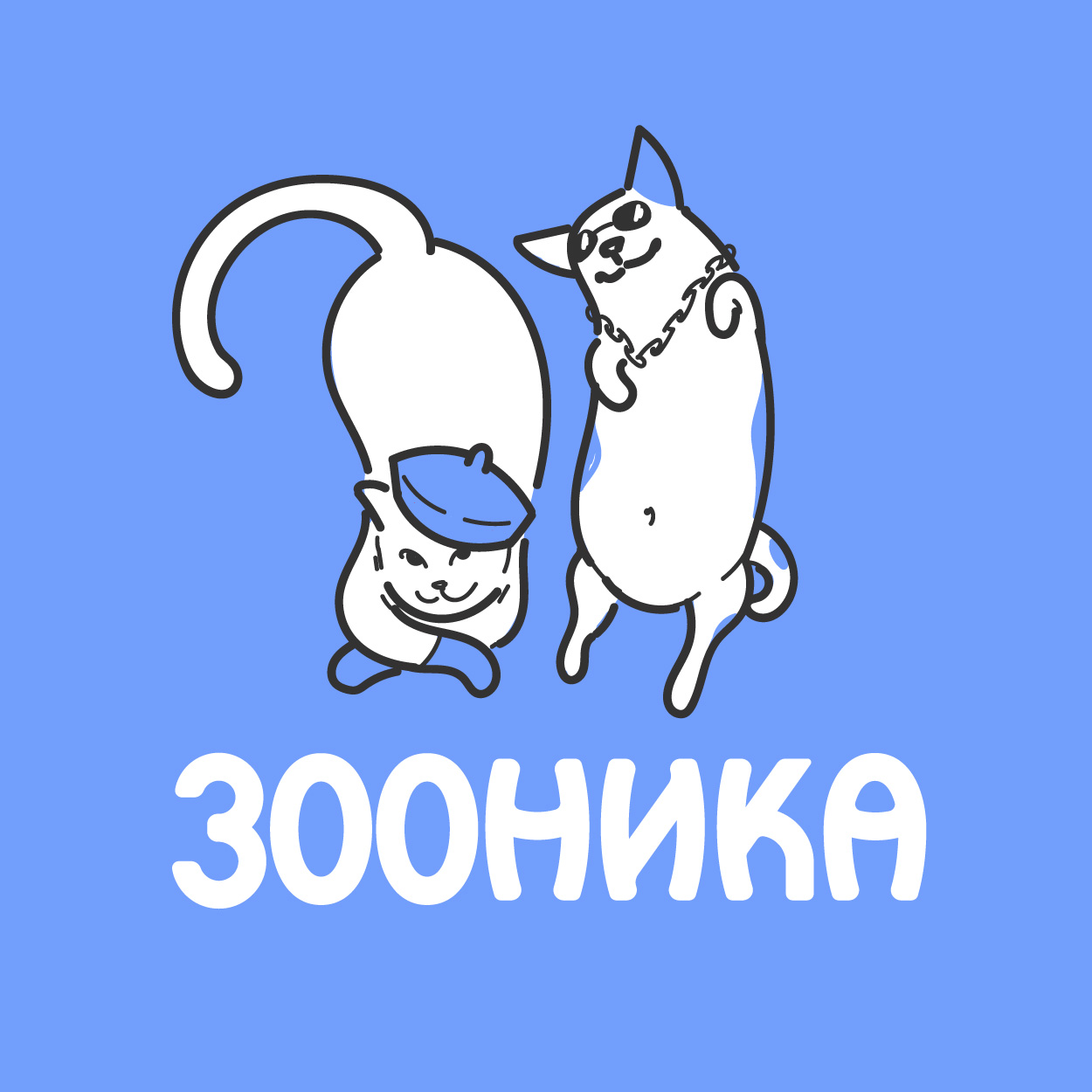 pet_20260702_195010_0