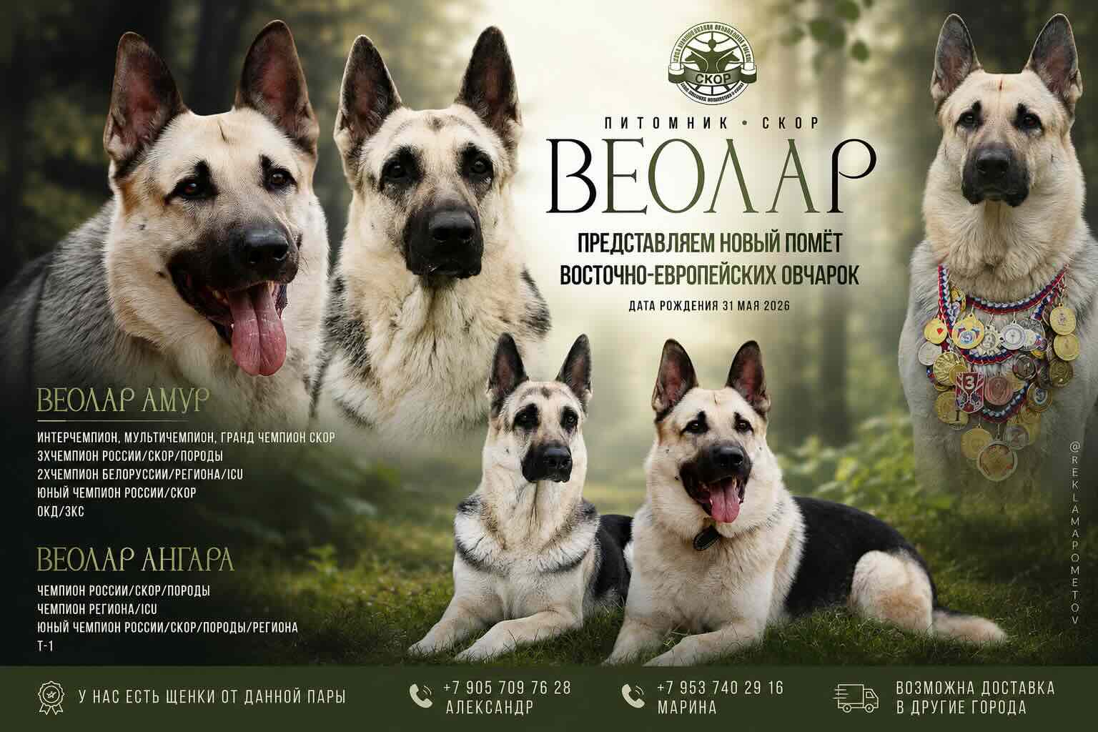 pet_20260706_161134_0