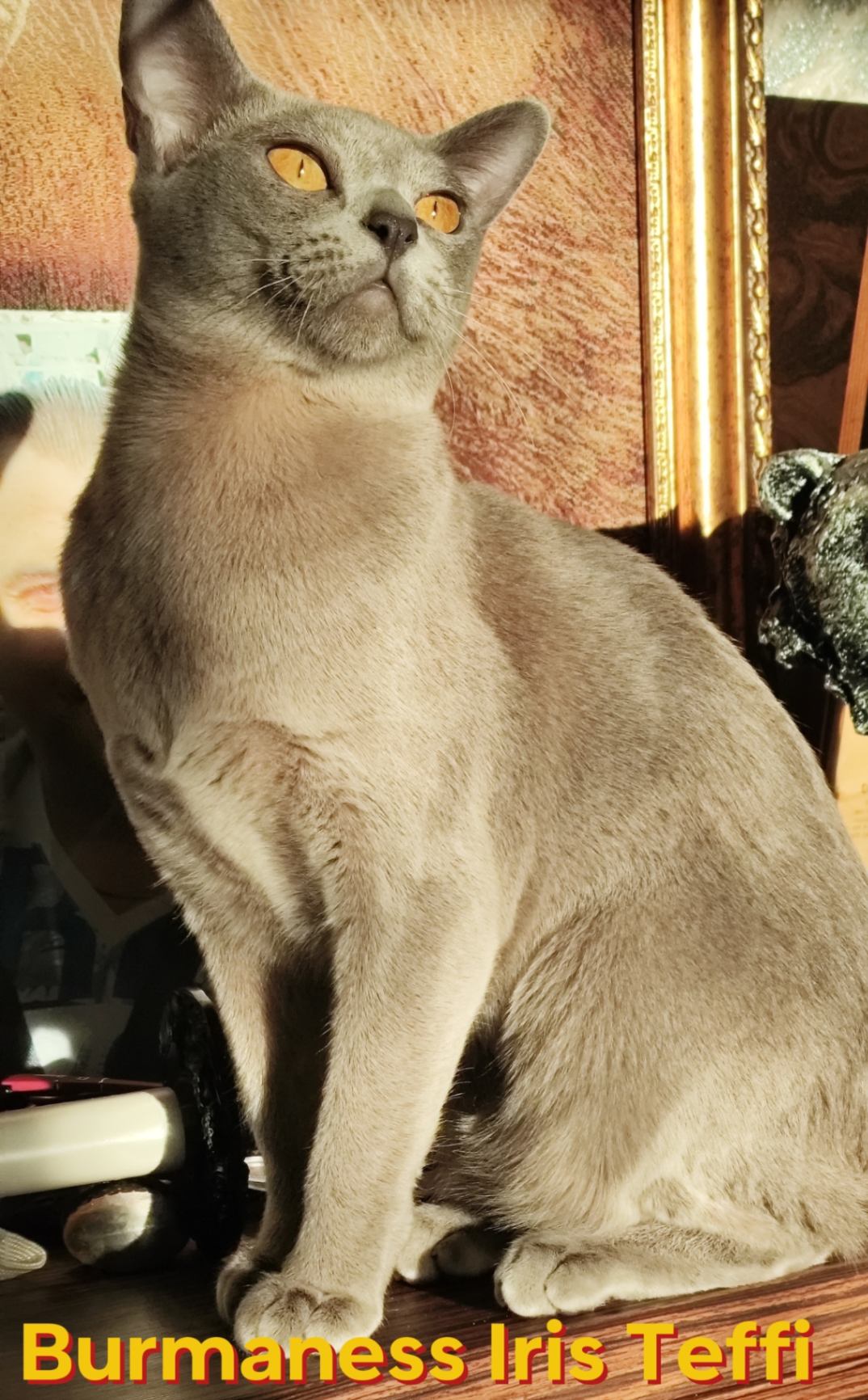Родословная