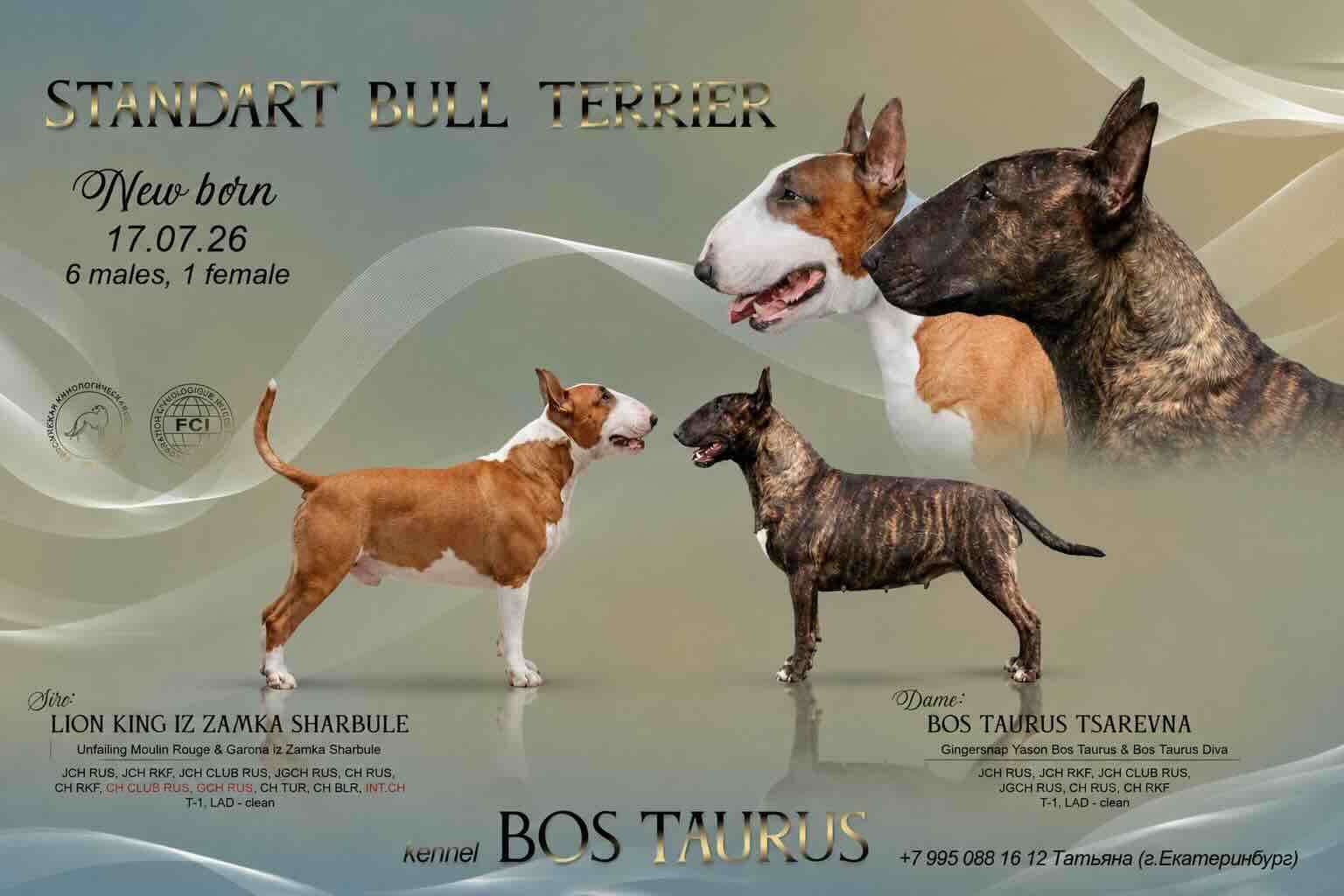 pet_20260905_225411_0