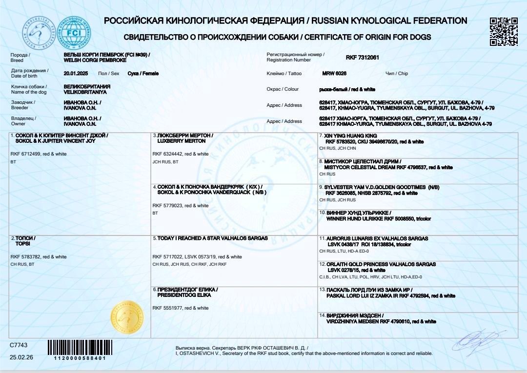 Родословная