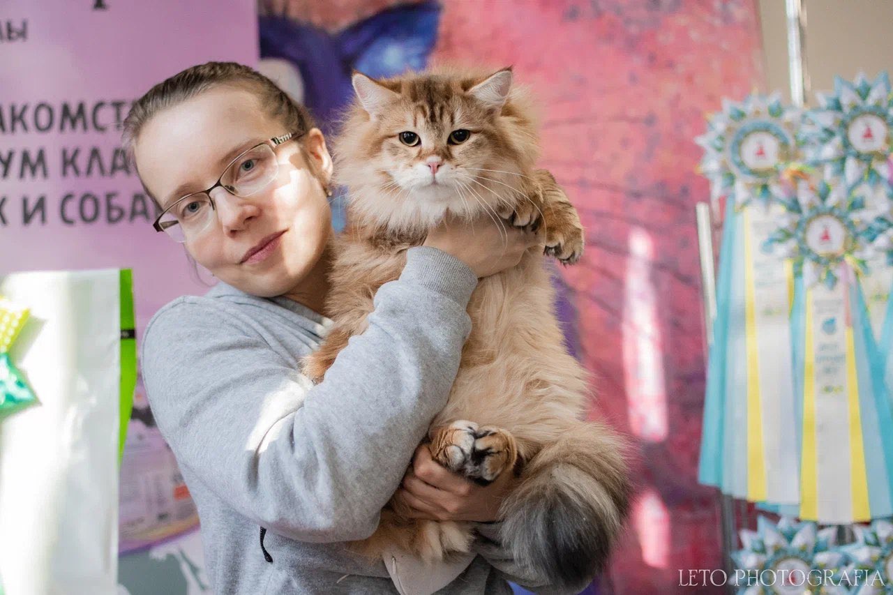 pitomnik-koshek-vivalavita-siberian-cats